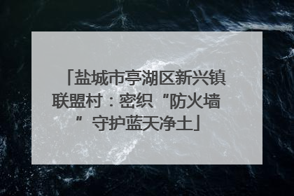 盐城市亭湖区新兴镇联盟村：密织“防火墙”守护蓝天净土