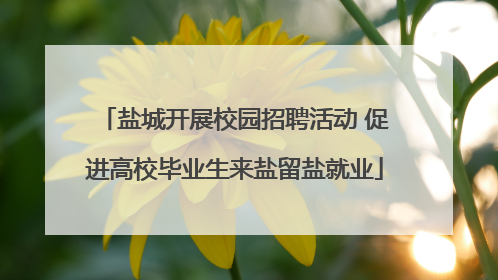 盐城开展校园招聘活动 促进高校毕业生来盐留盐就业