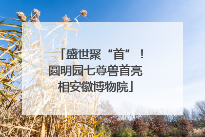 盛世聚“首”！圆明园七尊兽首亮相安徽博物院