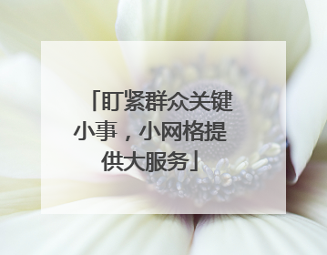 盯紧群众关键小事，小网格提供大服务