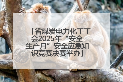 省煤炭电力化工工会2025年“安全生产月”安全应急知识竞赛决赛举办