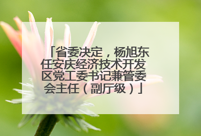 省委决定，杨旭东任安庆经济技术开发区党工委书记兼管委会主任（副厅级）
