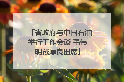 省政府与中国石油举行工作会谈 毛伟明戴厚良出席