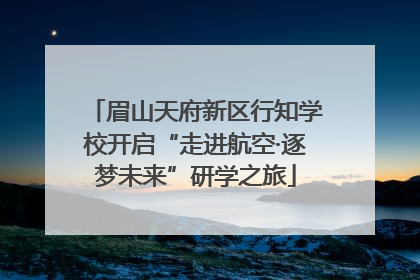 眉山天府新区行知学校开启“走进航空·逐梦未来”研学之旅