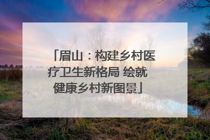 眉山：构建乡村医疗卫生新格局 绘就健康乡村新图景