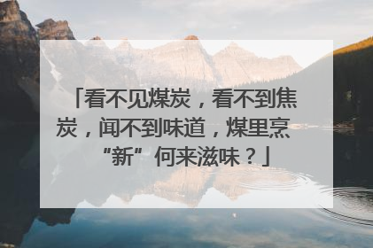 看不见煤炭，看不到焦炭，闻不到味道，煤里烹“新”何来滋味？