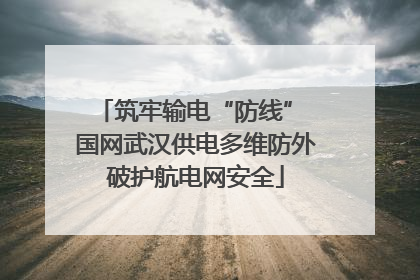 筑牢输电“防线” 国网武汉供电多维防外破护航电网安全