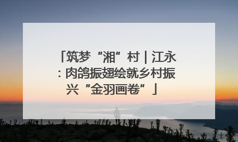 筑梦“湘”村｜江永：肉鸽振翅绘就乡村振兴“金羽画卷”