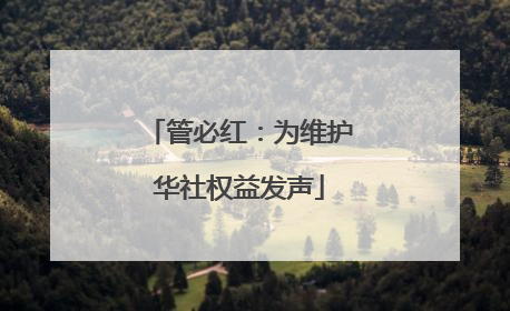 管必红：为维护华社权益发声