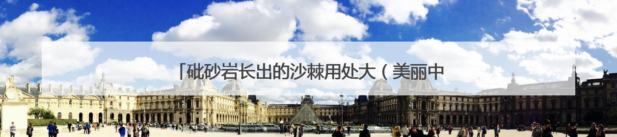 砒砂岩长出的沙棘用处大（美丽中国·生态治理中的特色植物③）
