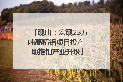 砚山：宏砚25万吨高精铝项目投产 助推铝产业升级