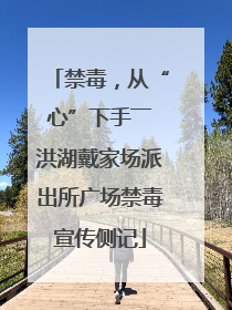 禁毒，从“心”下手――洪湖戴家场派出所广场禁毒宣传侧记