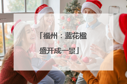 福州：蓝花楹盛开成一景