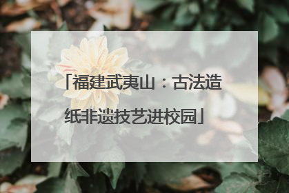 福建武夷山：古法造纸非遗技艺进校园
