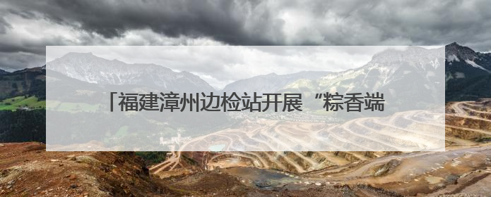 福建漳州边检站开展“粽香端午 情浓两岸”台胞座谈会