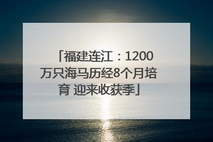 福建连江：1200万只海马历经8个月培育 迎来收获季