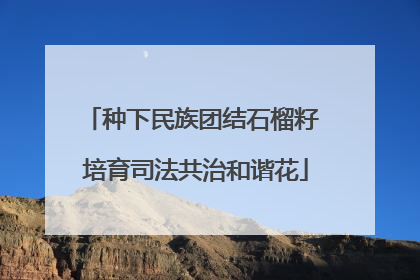种下民族团结石榴籽 培育司法共治和谐花