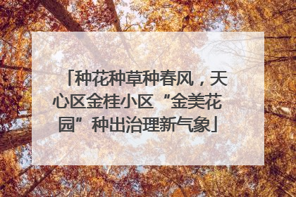 种花种草种春风，天心区金桂小区“金美花园”种出治理新气象