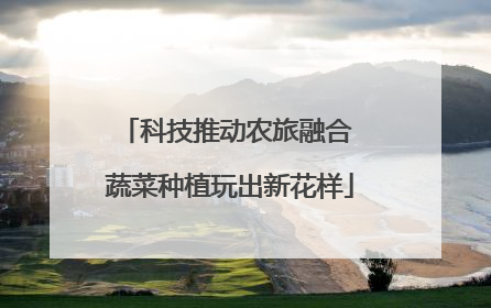 科技推动农旅融合 蔬菜种植玩出新花样