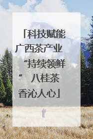 科技赋能广西茶产业“持续领鲜” 八桂茶香沁人心