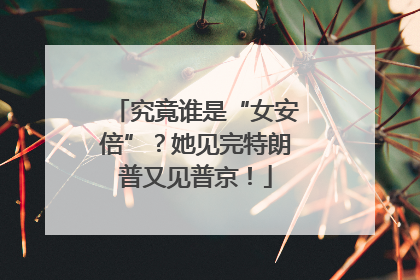 究竟谁是“女安倍”？她见完特朗普又见普京！