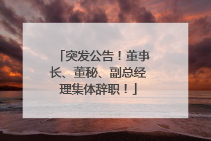 突发公告！董事长、董秘、副总经理集体辞职！