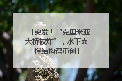 突发！“克里米亚大桥被炸”，水下支撑结构遭重创