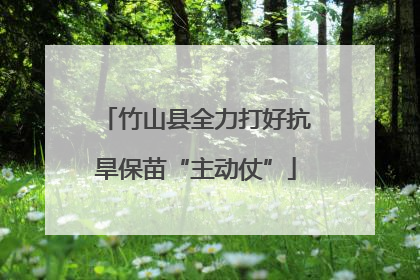 竹山县全力打好抗旱保苗“主动仗”