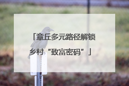 章丘多元路径解锁乡村“致富密码”