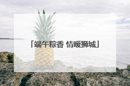 端午粽香 情暖狮城
