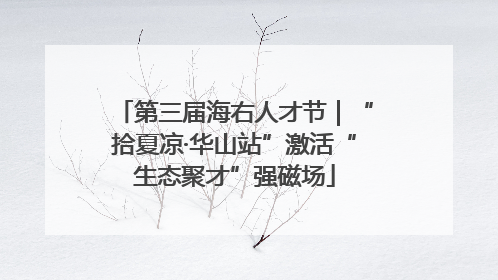 第三届海右人才节｜“拾夏凉·华山站”激活“生态聚才”强磁场