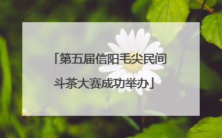 第五届信阳毛尖民间斗茶大赛成功举办
