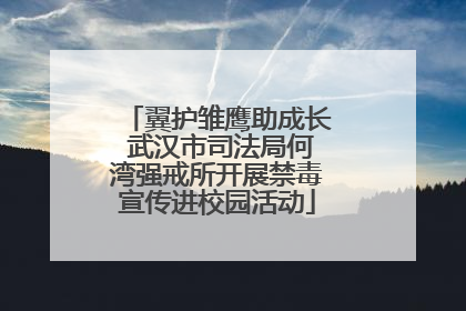 翼护雏鹰助成长 武汉市司法局何湾强戒所开展禁毒宣传进校园活动