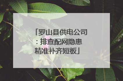 罗山县供电公司：排查配网隐患 精准补齐短板