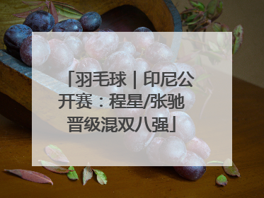 羽毛球｜印尼公开赛：程星/张驰晋级混双八强