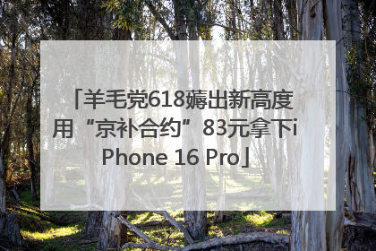 羊毛党618薅出新高度 用“京补合约”83元拿下iPhone 16 Pro