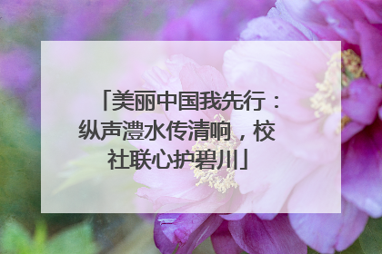 美丽中国我先行：纵声澧水传清响，校社联心护碧川