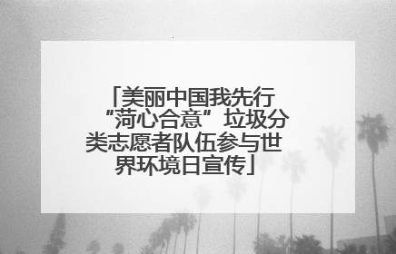 美丽中国我先行 “菏心合意”垃圾分类志愿者队伍参与世界环境日宣传