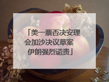 美一票否决安理会加沙决议草案 伊朗强烈谴责