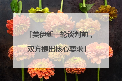 美伊新一轮谈判前，双方提出核心要求
