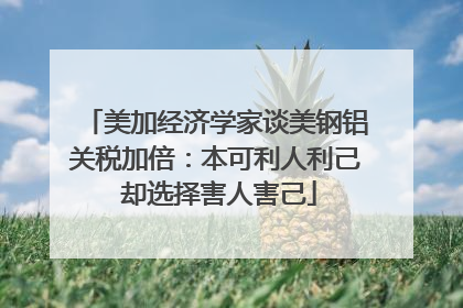 美加经济学家谈美钢铝关税加倍：本可利人利己 却选择害人害己