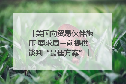 美国向贸易伙伴施压 要求周三前提供谈判“最佳方案”