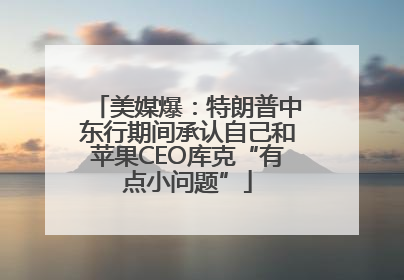 美媒爆：特朗普中东行期间承认自己和苹果CEO库克“有点小问题”