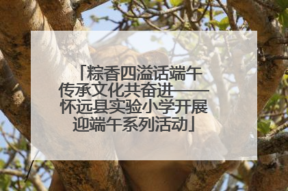 粽香四溢话端午 传承文化共奋进——怀远县实验小学开展迎端午系列活动