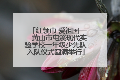 红领巾 爱祖国——黄山市屯溪现代实验学校一年级少先队入队仪式圆满举行