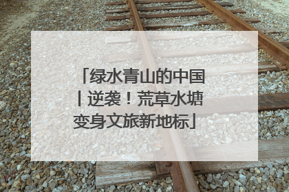 绿水青山的中国丨逆袭！荒草水塘变身文旅新地标
