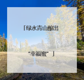 绿水青山酿出“幸福蜜”