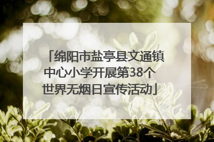 绵阳市盐亭县文通镇中心小学开展第38个世界无烟日宣传活动