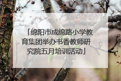 绵阳市成绵路小学教育集团举办书香教师研究院五月培训活动