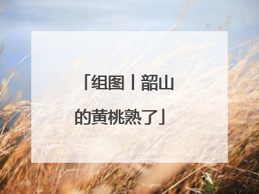 组图丨韶山的黄桃熟了